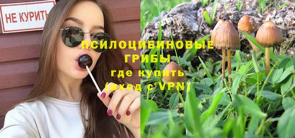 метадон Касимов