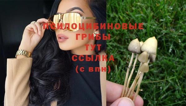 трава Каменка