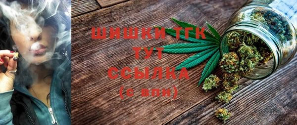 метадон Касимов