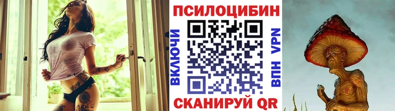 кракен   Углегорск  Псилоцибиновые грибы Psilocybine cubensis 